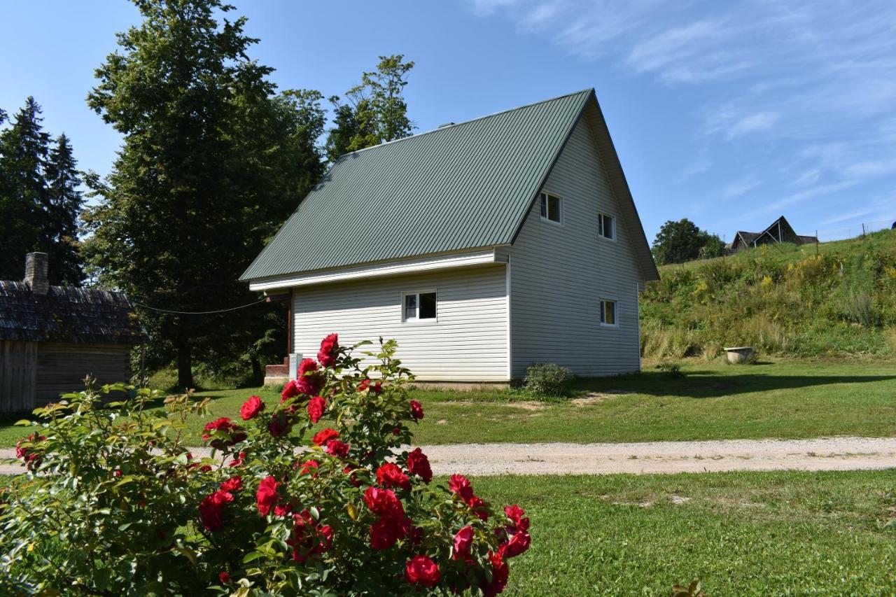 Country house Joeniidu House