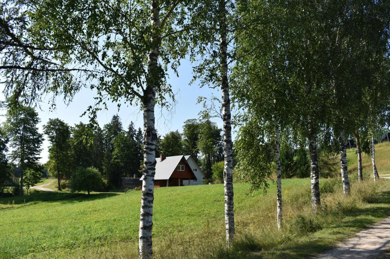 Joeniidu House